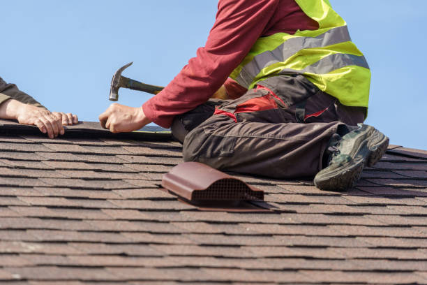 Residential Roof Replacement in Wood Dale, IL