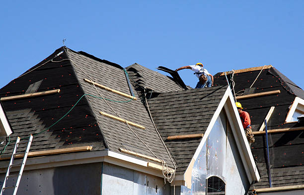 Best Storm Damage Roof Repair  in Wood Dale, IL