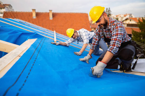 Best Roof Waterproofing Services  in Wood Dale, IL