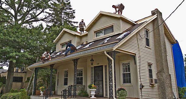 Best Roof Maintenance Services  in Wood Dale, IL